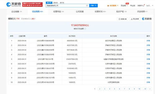 國美電器新增多條被執(zhí)行人信息，被執(zhí)行總金額超17億元